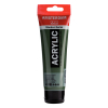 Talens Amsterdam dark olive green acrylic paint, 120ml 220666 - 1
