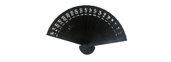 3DHandFan
